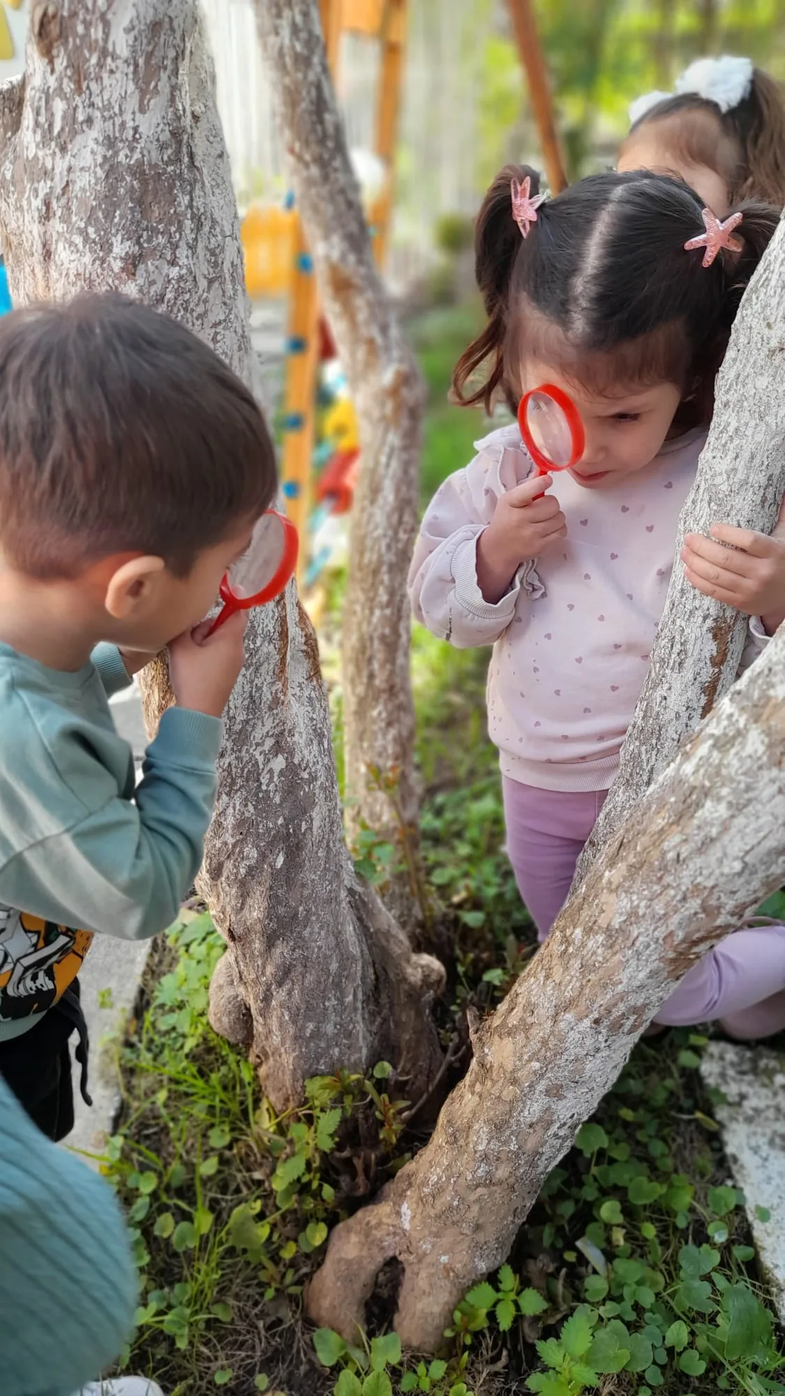 Bahçede büyüteçle ağaç ve doğa inceleyen çocuklar
