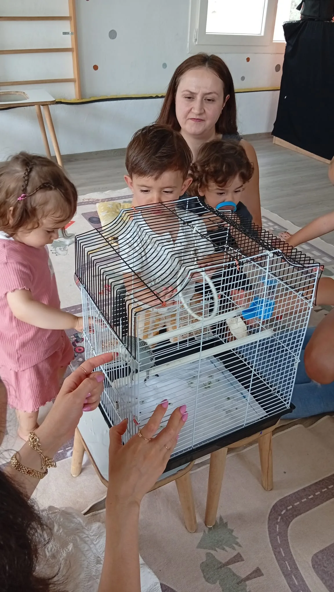 Canlı gözlemi: kafesteki hamsteri inceleyen çocuklar